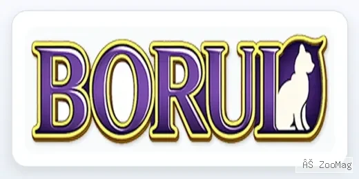 Borui