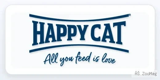 Happy Cat