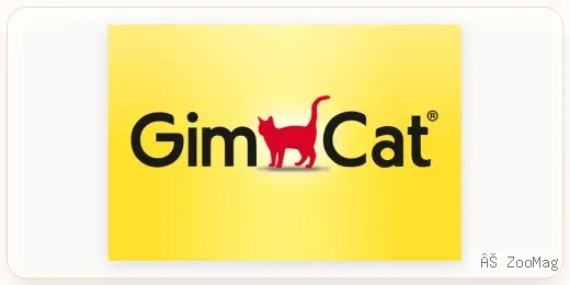 GimCat
