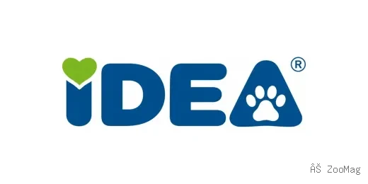 IDEA