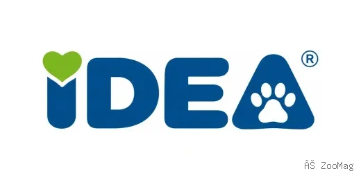 IDEA