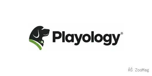 Playology