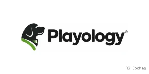 Playology