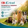 8in1 Vitality Excel Adult Multi Vitamin мультивитамины для взрослых собак, 70 таблеток