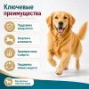 8in1 Vitality Excel Adult Multi Vitamin мультивитамины для взрослых собак, 70 таблеток