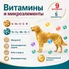 8in1 Vitality Excel Adult Multi Vitamin мультивитамины для взрослых собак, 70 таблеток