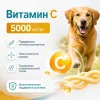 8in1 Excel Glucosamine добавка с глюкозамином для суставов собак, 55 таблеток
