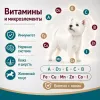 8in1 Excel Multi Vitamin Small Breed мультивитамины для собак мелких пород, 70 таблеток
