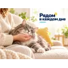 Advance Hairball Sterilized сухой корм с индейкой для взрослых стерилизованных кошек, 1,5 кг