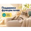 Advance Veterinary Diets Renal диетический сухой корм для взрослых кошек, 1,5 кг