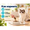 Advance Sensitive Care Sterilized сухой корм с лососем для взрослых стерилизованных кошек, 1,5 кг