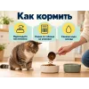 Advance Sensitive Care Sterilized сухой корм с лососем для взрослых стерилизованных кошек, 10 кг