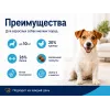 Advance Adult Mini с курицей и рисом — сухой корм для взрослых собак мелких пород, 7 кг