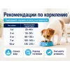 Advance Adult Mini с курицей и рисом — сухой корм для взрослых собак мелких пород, 7 кг