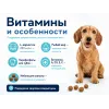 Advance Adult Mini Light с курицей и рисом — сухой корм для взрослых собак мелких пород, 3 кг