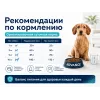 Advance Adult Mini Light с курицей и рисом — сухой корм для взрослых собак мелких пород, 3 кг