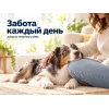 Advance Veterinary Diets Diabetes сухой диетический корм для взрослых собак, 12 кг