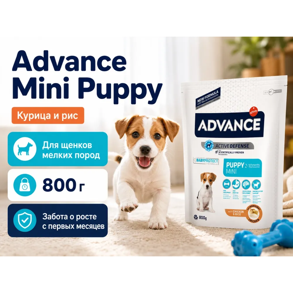 Advance Mini Puppy с курицей и рисом — сухой корм для щенков мелких пород, 800 г