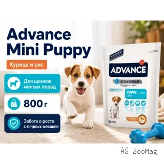 Advance Mini Puppy с курицей и рисом — сухой корм для щенков мелких пород, 800 г