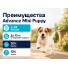 Advance Mini Puppy с курицей и рисом — сухой корм для щенков мелких пород, 800 г