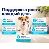 Advance Mini Puppy с курицей и рисом — сухой корм для щенков мелких пород, 800 г