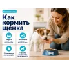 Advance Mini Puppy с курицей и рисом — сухой корм для щенков мелких пород, 800 г