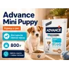 Advance Mini Puppy с курицей и рисом — сухой корм для щенков мелких пород, 800 г