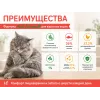 Almo Nature Anti Hairball со свежим лососем — сухой корм для взрослых кошек, 2 кг