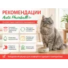 Almo Nature Anti Hairball со свежим лососем — сухой корм для взрослых кошек, 2 кг