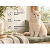 Almo Nature Intestinal Help с ягнёнком сухой корм для взрослых кошек с чувствительным пищеварением, 2 кг
