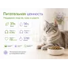 Almo Nature Intestinal Help с ягнёнком — сухой корм для взрослых кошек с чувствительным пищеварением, 400 г