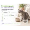 Almo Nature Intestinal Help с ягнёнком — сухой корм для взрослых кошек с чувствительным пищеварением, 400 г