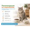 Almo Nature Life Maintenance с анчоусами — сухой корм для взрослых кошек, 12 кг