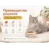 Almo Nature Life Maintenance с индейкой — сухой корм для взрослых кошек, 2 кг