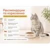 Almo Nature Life Maintenance с индейкой — сухой корм для взрослых кошек, 2 кг