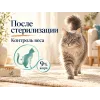 Almo Nature Sterilised со свежими анчоусами сухой корм для стерилизованных кошек, 2 кг