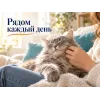 Almo Nature Sterilised со свежими анчоусами сухой корм для стерилизованных кошек, 2 кг