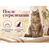 Almo Nature Sterilised со свежей говядиной сухой корм для стерилизованных кошек, 2 кг