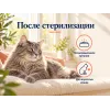 Almo Nature Sterilised со свежим лососем сухой корм для стерилизованных кошек, 2 кг