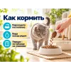 Almo Nature Life Maintenance с анчоусами сухой корм для взрослых кошек, 2 кг
