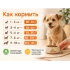 Almo Nature Holistic Maintenance XS-S с говядиной и рисом — сухой корм для взрослых собак мелких пород, 400 г
