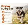Almo Nature Holistic Large Adult с говядиной и рисом — сухой корм для взрослых собак крупных пород, 12 кг