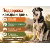 Almo Nature Holistic Large Adult с говядиной и рисом — сухой корм для взрослых собак крупных пород, 12 кг