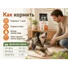 Almo Nature Holistic Large Adult с говядиной и рисом — сухой корм для взрослых собак крупных пород, 12 кг