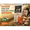 Almo Nature Holistic Large Adult с говядиной и рисом — сухой корм для взрослых собак крупных пород, 12 кг