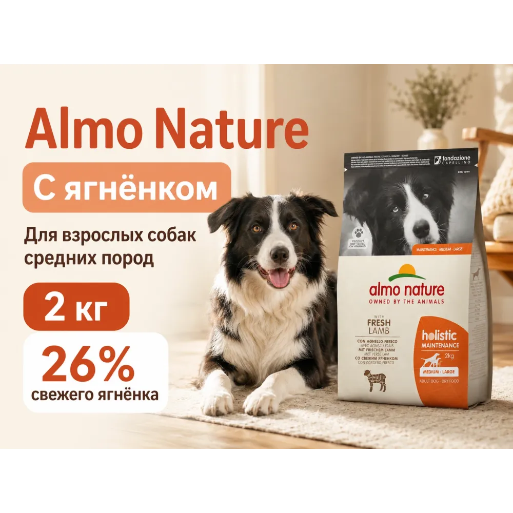 Almo Nature Holistic Maintenance M/L с ягнёнком — сухой корм для взрослых собак средних и крупных пород, 2 кг