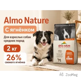 Almo Nature Holistic Maintenance M/L с ягнёнком — сухой корм для взрослых собак средних и крупных пород, 2 кг