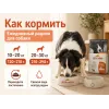 Almo Nature Holistic Maintenance M/L с ягнёнком — сухой корм для взрослых собак средних и крупных пород, 2 кг