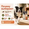 Almo Nature Holistic Maintenance M/L с ягнёнком — сухой корм для взрослых собак средних и крупных пород, 2 кг