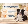 Almo Nature Holistic Maintenance Medium Large со свежей говядиной сухой корм для взрослых собак средних и крупных пород, 2 кг